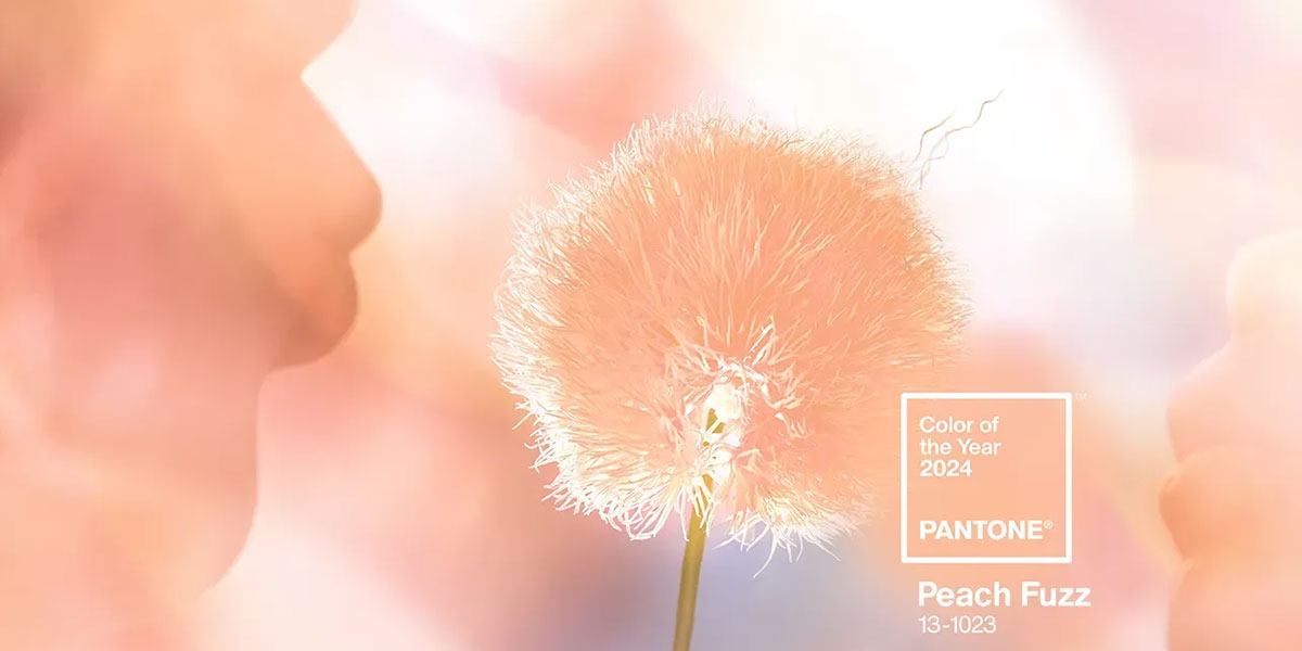couleur-2024-peach-Fuzz